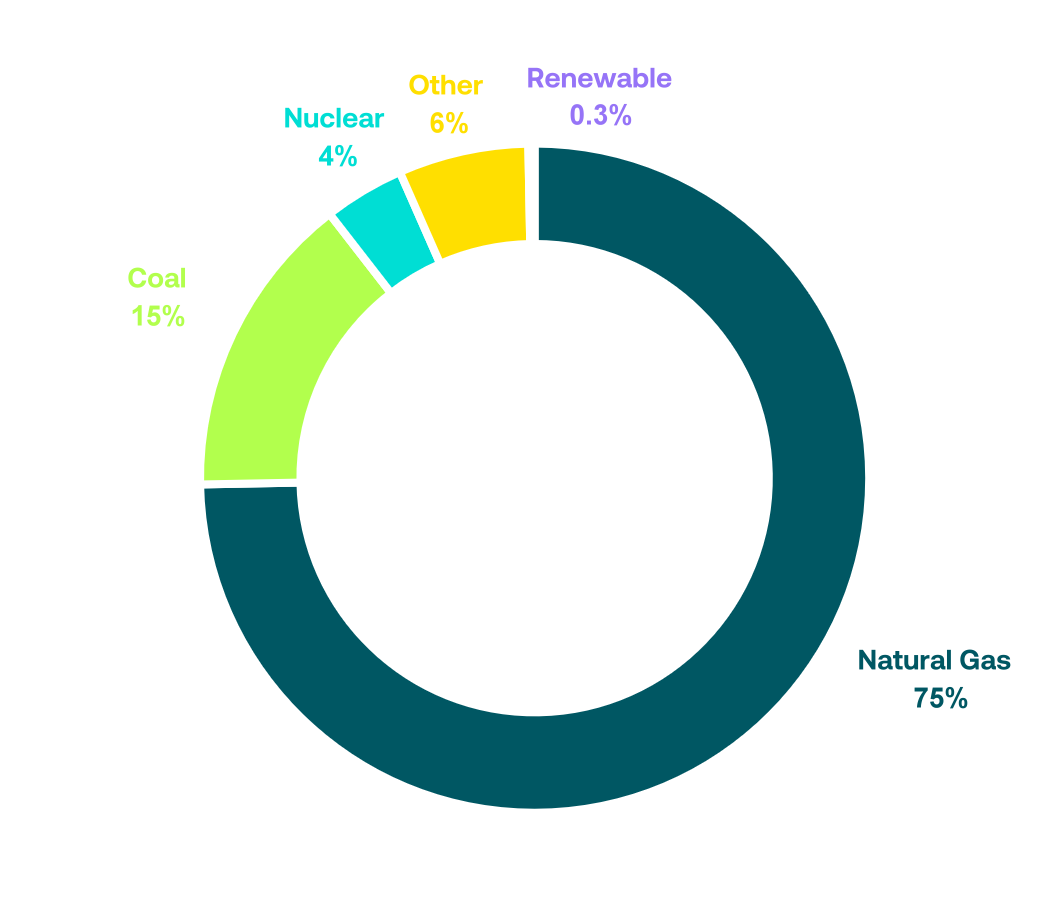 Conventional Fuel Mix